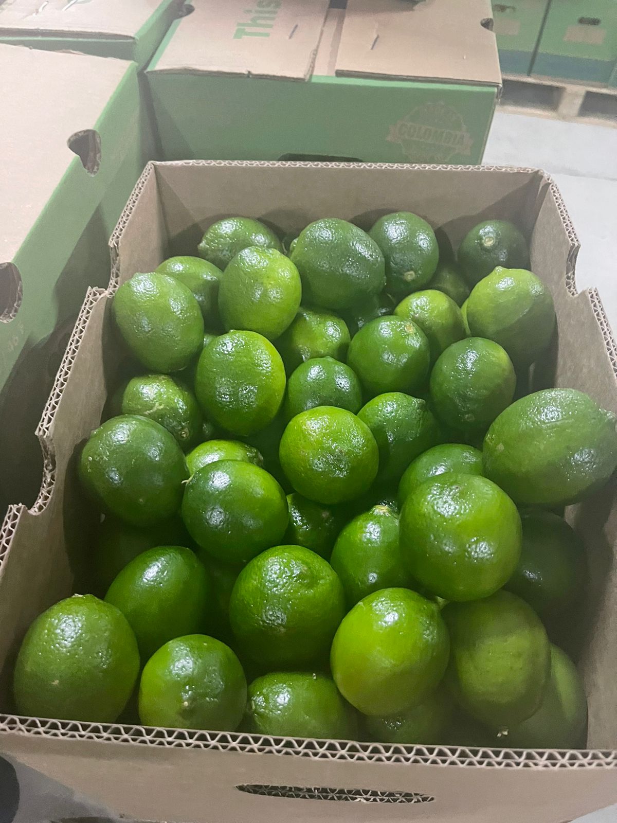 LIMÓN TAHITI / LIME TAHITI